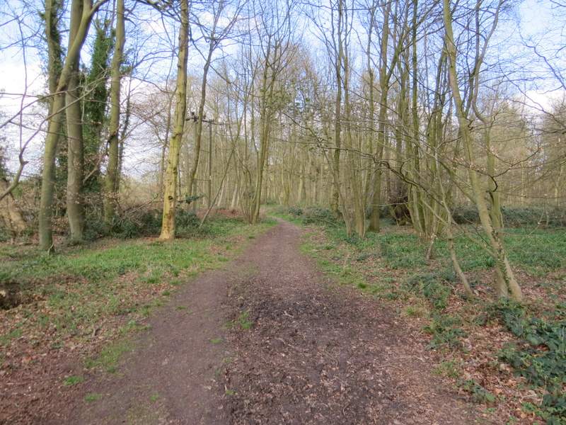 Pete's Walks Cowleaze Wood (page 6 of 6)